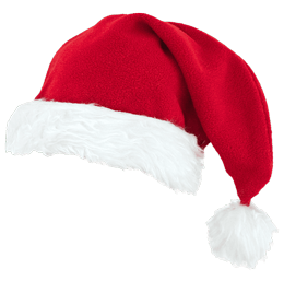 Chrsitmas hat